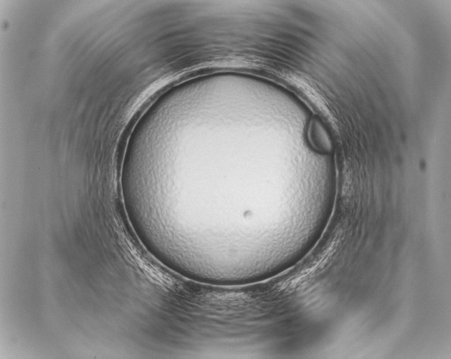 X0000087020837200705071507