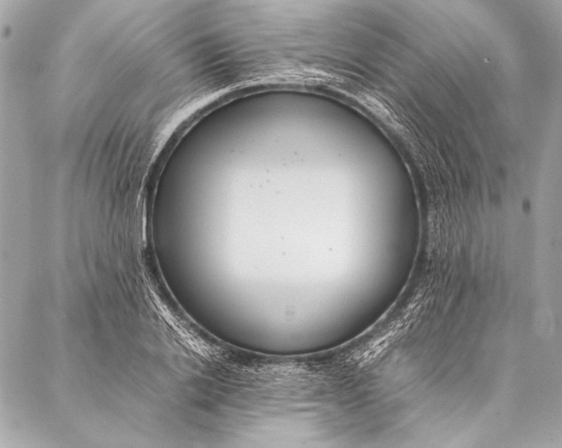 X0000087020838200705071507