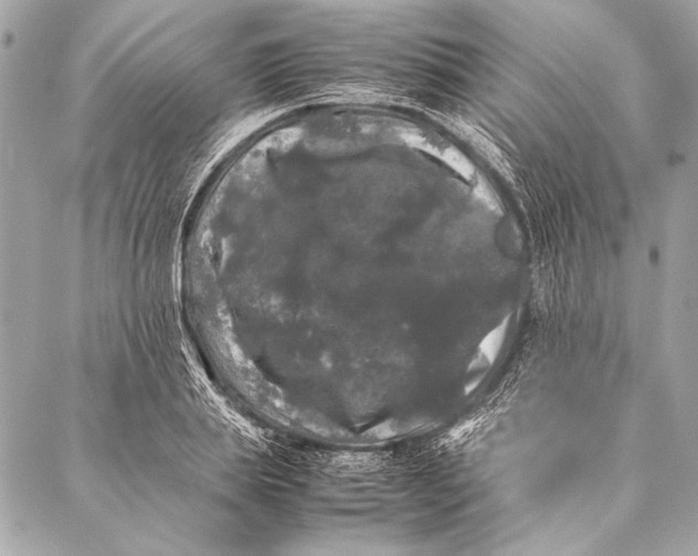 X0000087020839200705071507