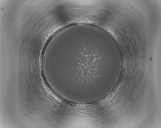 X0000087020840200705071507