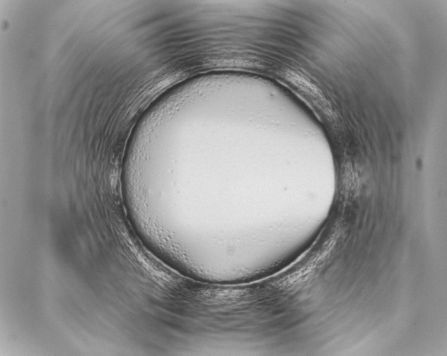 X0000087020841200705071507