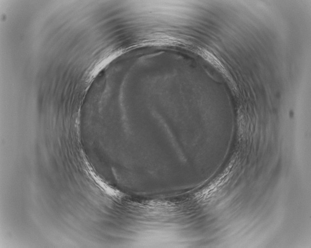 X0000087020842200705071507