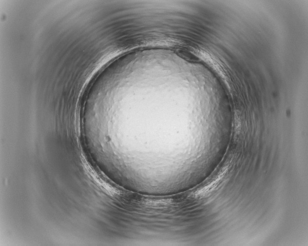 X0000087020843200705071508