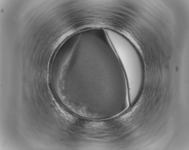 X0000087020845200705071508