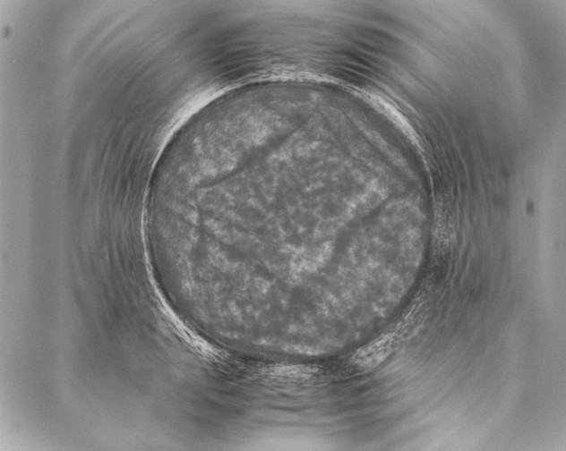 X0000087020847200705071508