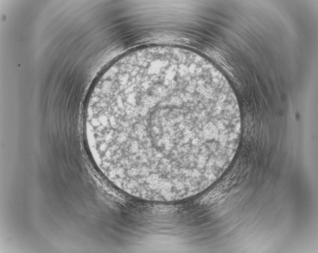 X0000087020848200705071508