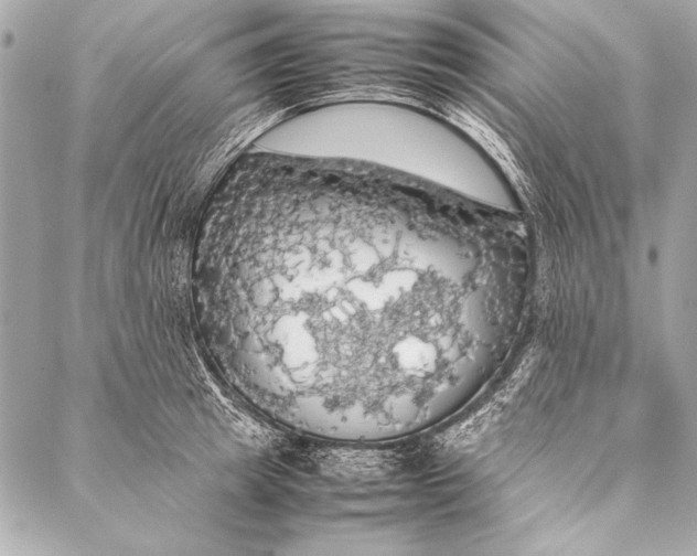 X0000087020849200705071508