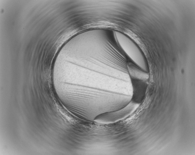 X0000087020850200705071508