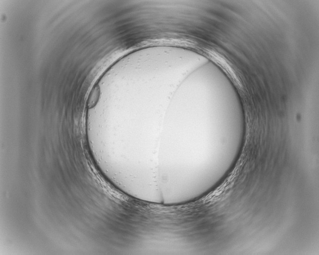 X0000087020852200705071508