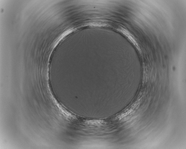 X0000087020853200705071508