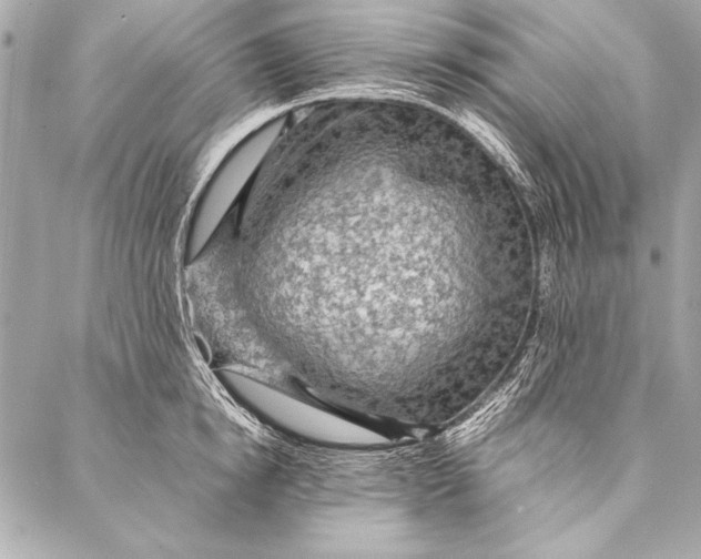 X0000087020854200705071508