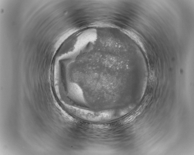 X0000087020855200705071508