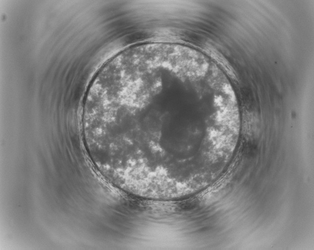 X0000087020856200705071508