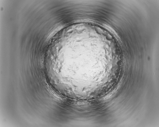 X0000087020857200705071508