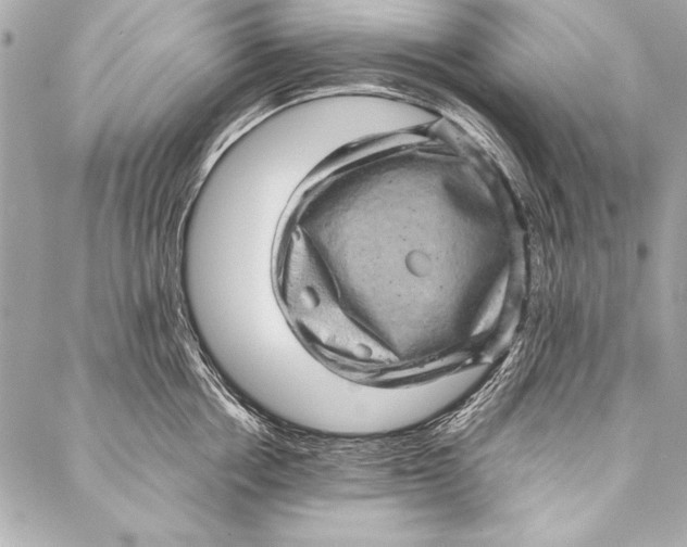 X0000087020858200705071508