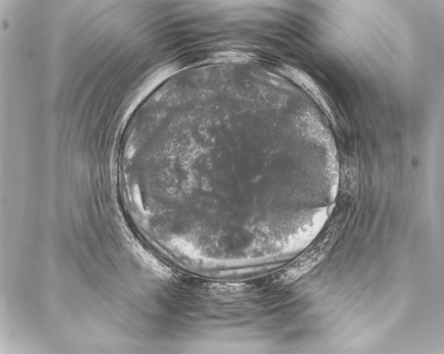 X0000087020859200705071508