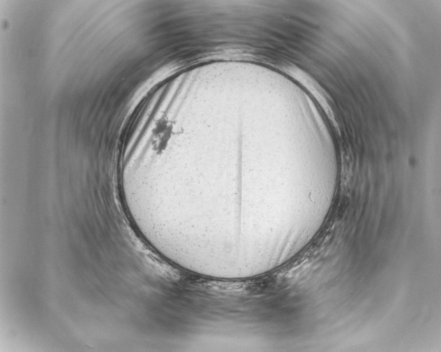 X0000087020861200705071508