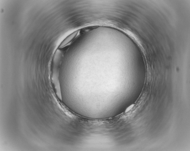 X0000087020862200705071508