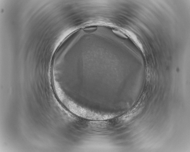 X0000087020863200705071508