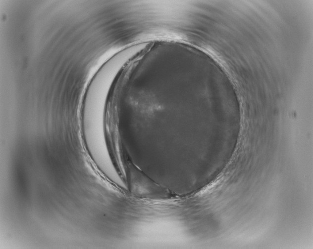 X0000087020864200705071508