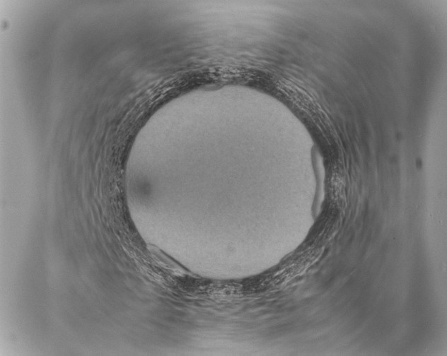 X0000087020865200705071507