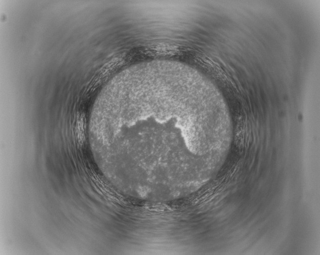 X0000087020866200705071507