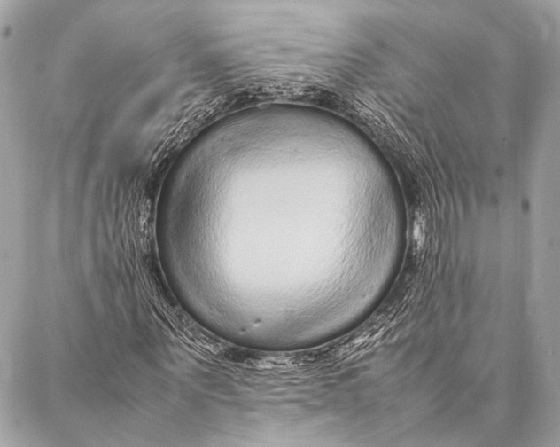 X0000087020867200705071507