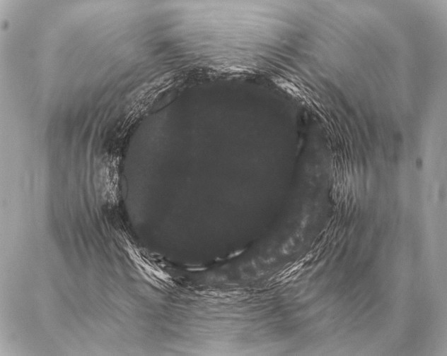 X0000087020868200705071507