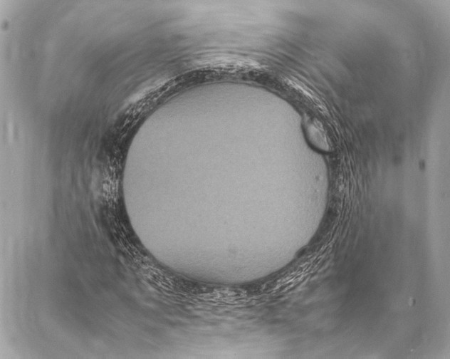 X0000087020869200705071507