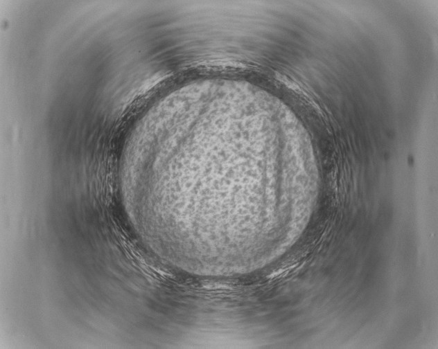 X0000087020870200705071507