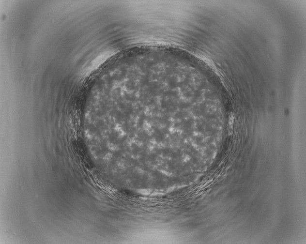 X0000087020871200705071507