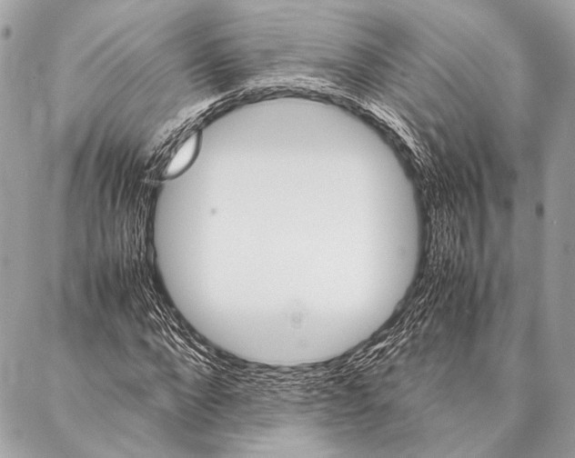 X0000087020872200705071507