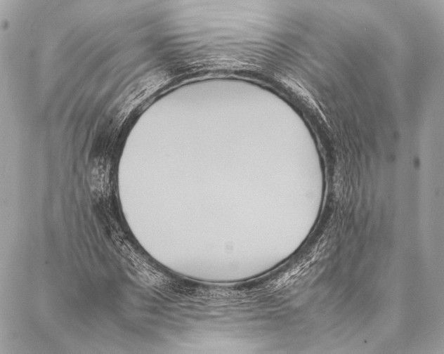 X0000087020873200705071507