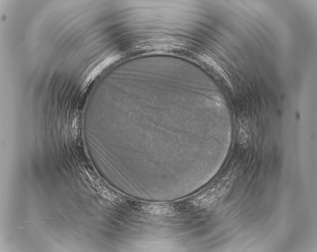 X0000087020874200705071507