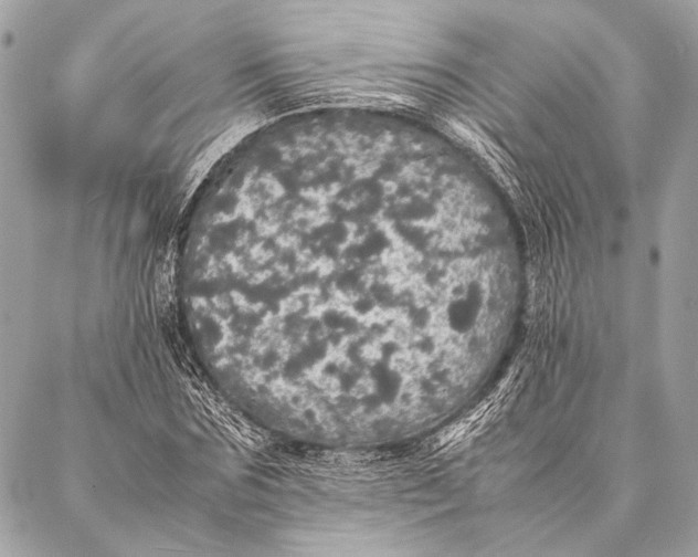 X0000087020875200705071507