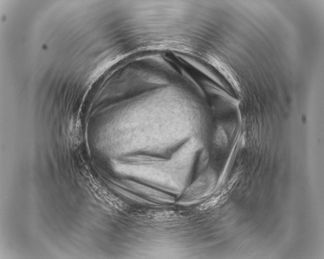 X0000087020876200705071507