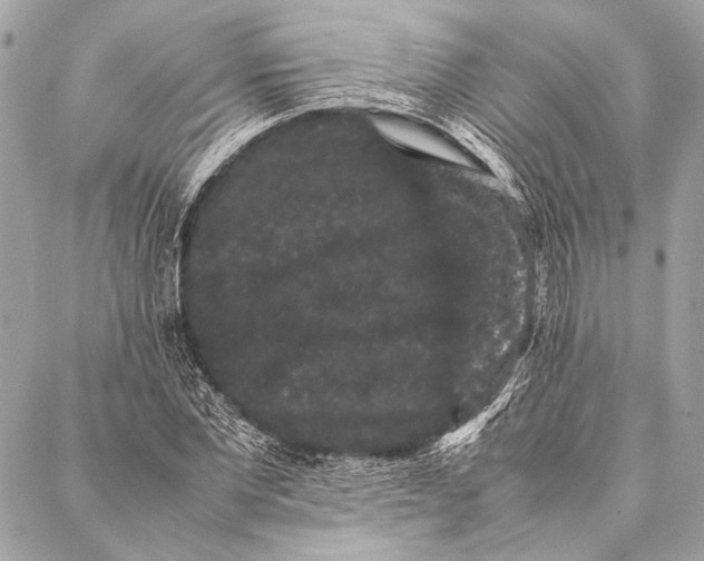 X0000087020877200705071507