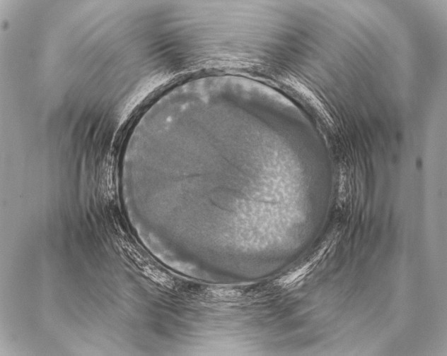 X0000087020878200705071507