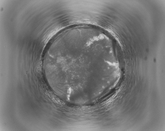 X0000087020879200705071507