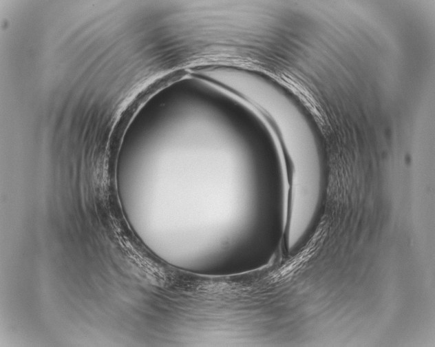 X0000087020880200705071507