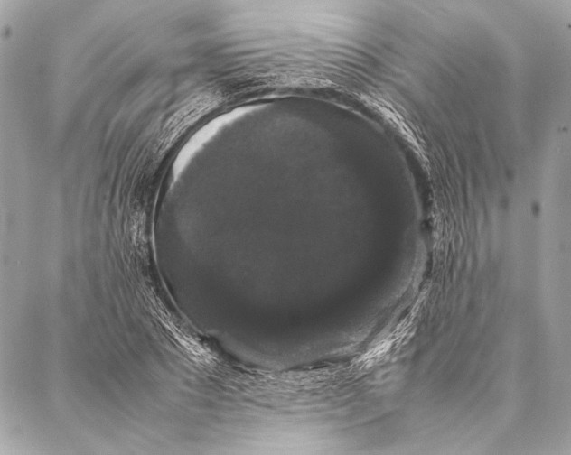 X0000087020881200705071507