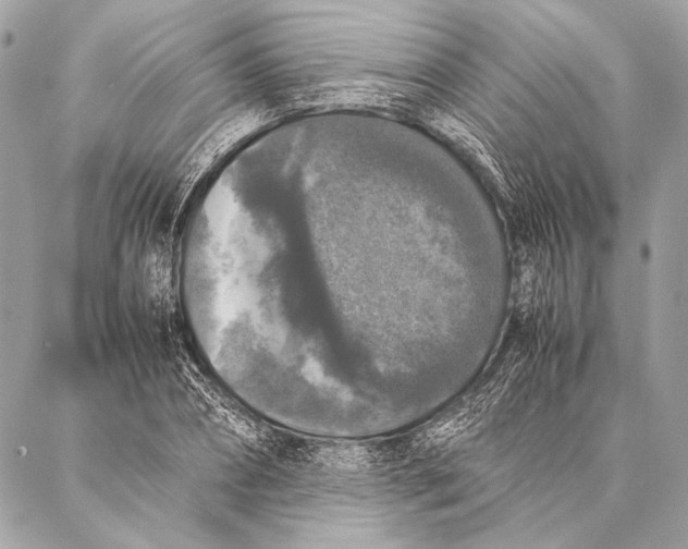 X0000087020882200705071507