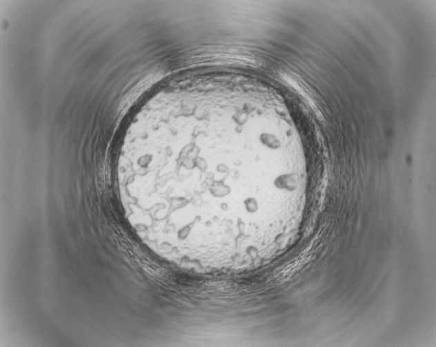 X0000087020883200705071507