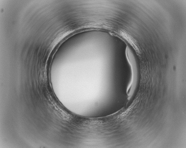 X0000087020884200705071507