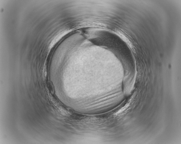 X0000087020885200705071507