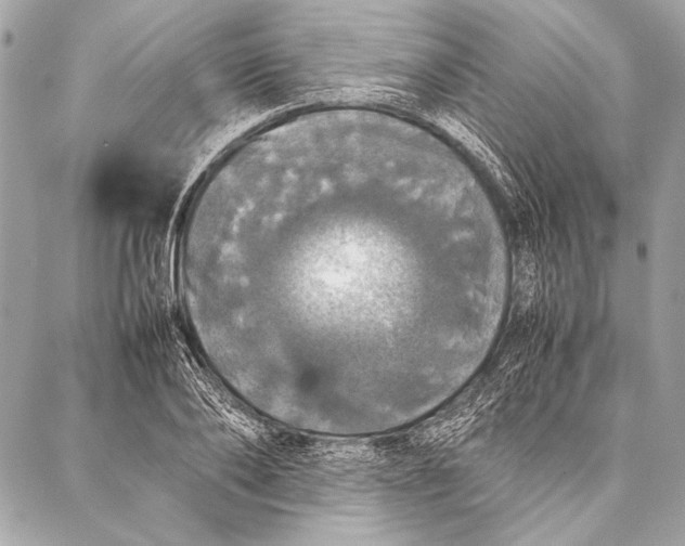 X0000087020886200705071507