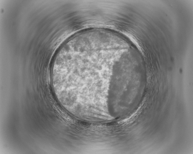 X0000087020887200705071507