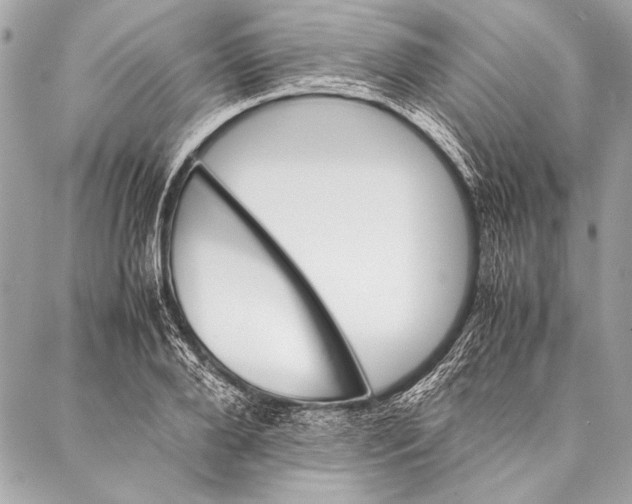 X0000087020888200705071507