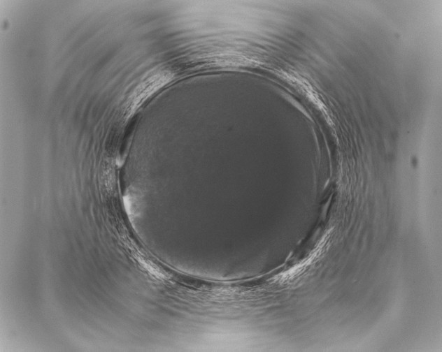 X0000087020889200705071507