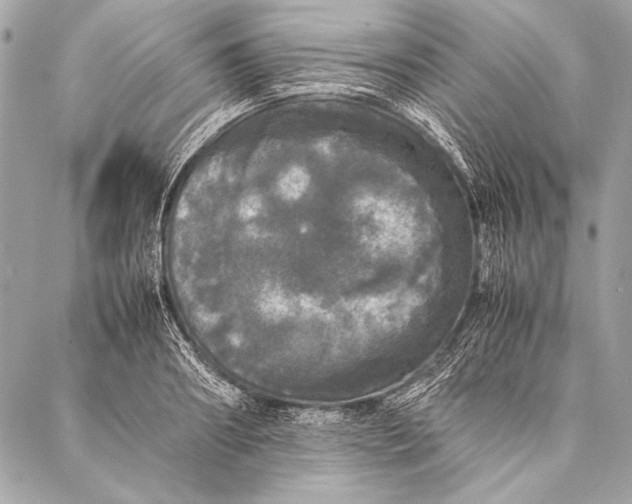 X0000087020890200705071507